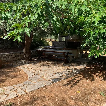 Aurora * Vathy (Ithaca)